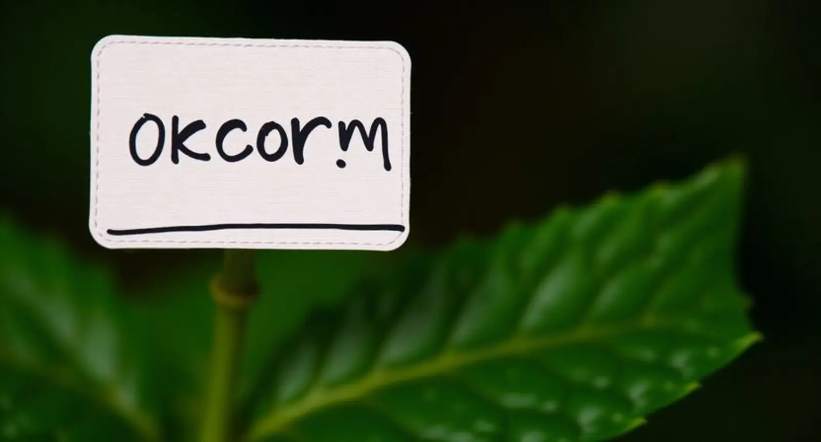 occur synonym